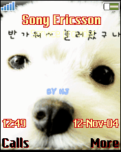 doggy